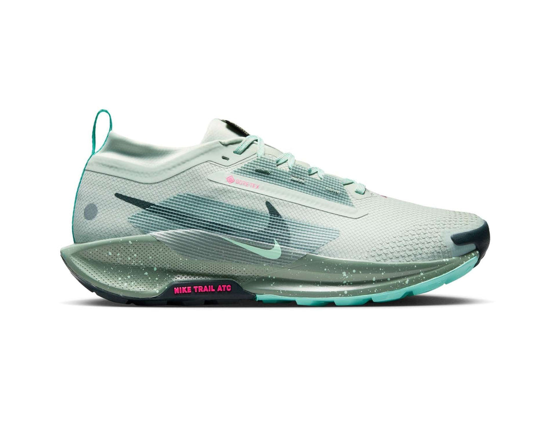 Scarpe da trail running Nike Pegasus Trail 5 GORE-TEX da uomo