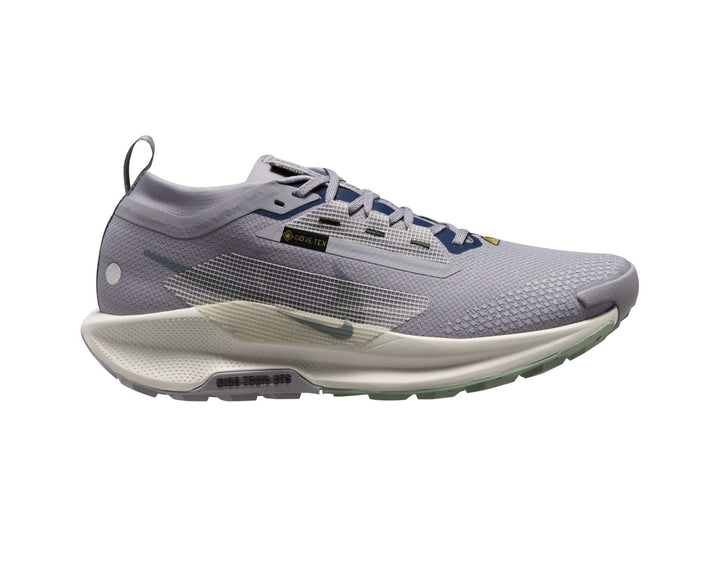 Scarpe da trail running Nike Pegasus Trail 5 GORE-TEX da uomo